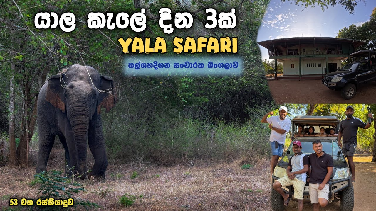 Yala Safari Experience යාල කැලේ දින 3ක් | Thalgahadigana Bungalow Stay Sri Lanka