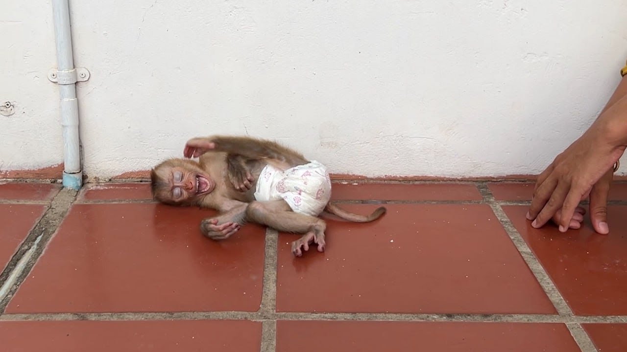 Mom So Upset When Yuri Suddently Anqry Mom Closing Eyes Screaminq Loud