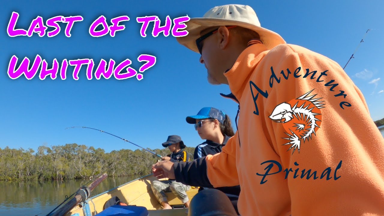 Fishing Hays Inlet. LAST of the WHITING?