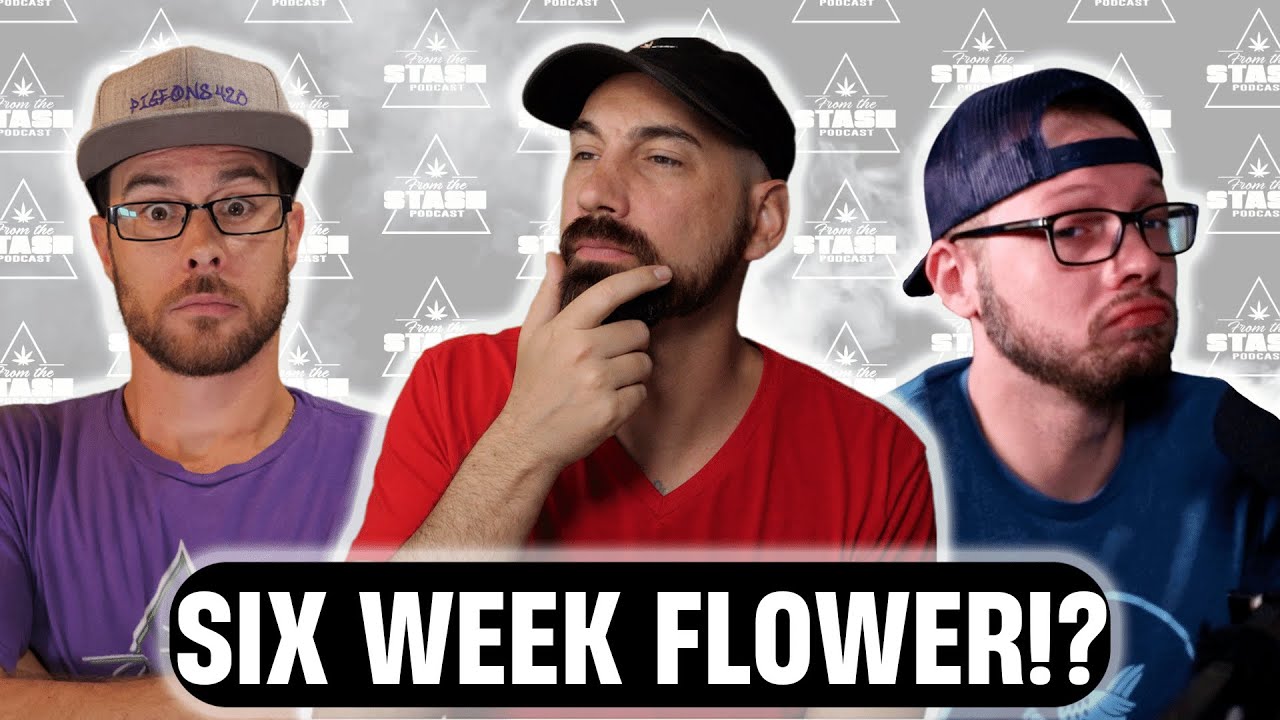 How To Grow Short Flowering Strains! - From The Stash Podcast Ep. 154