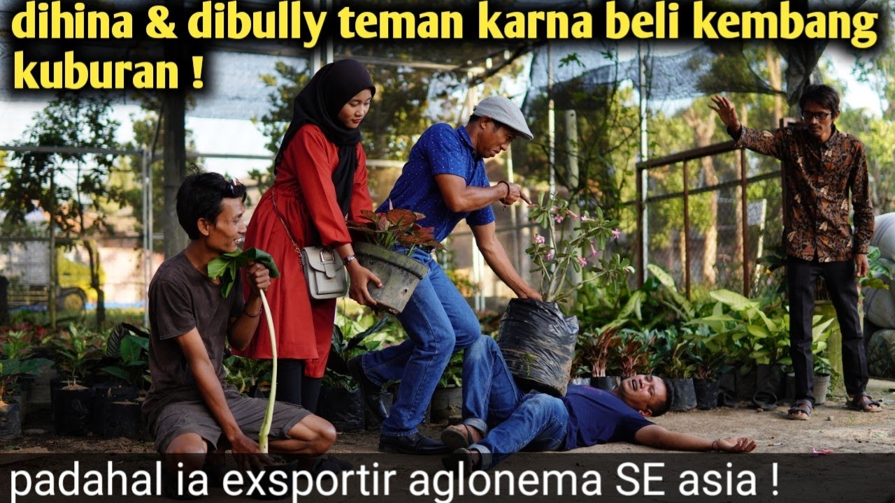 DIHINA & DIBULLY KARNA BELI BUNGA KUBURAN, PADAHAL IA BOS BUNGA AGLONEMA TEMPAT IA NGUTANG ‼️
