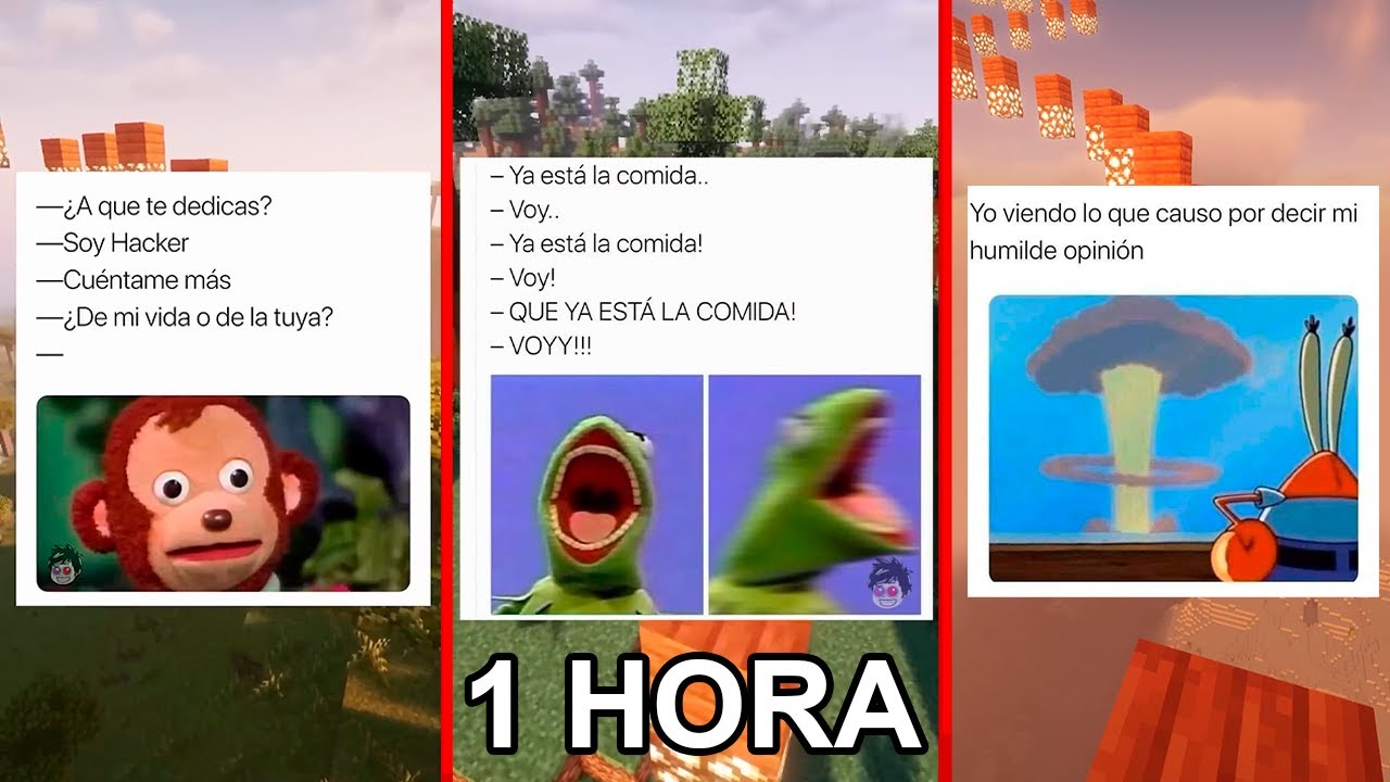 1 HORA DE MEMES PARA REIR SIN PARAR