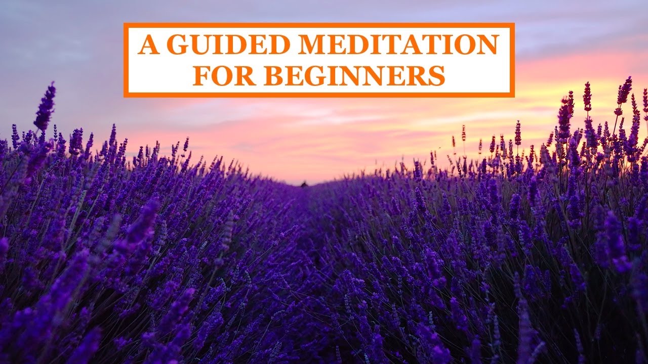 A GUIDED MEDITATION FOR BEGINNERS