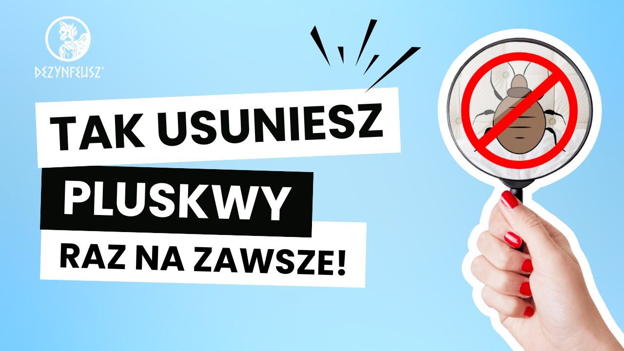 Jak wygląda współpraca z profesjonalną firmą DDD