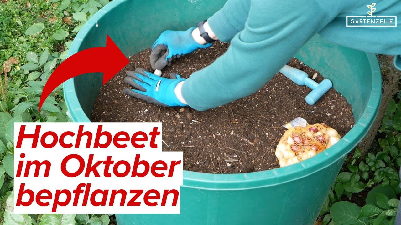 Das kann man im Oktober ins Hochbeet s&auml;en [Unsere TOP 6]