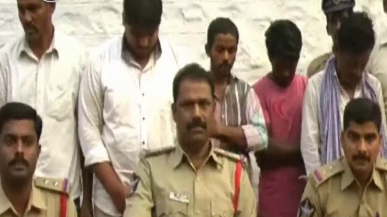 Rs 30 crore worth Red sanders wood seized