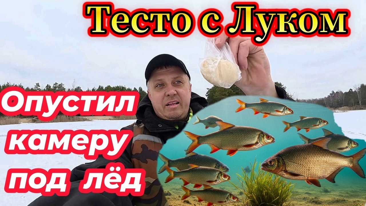 РЫБА СОШЛА С УМА! Опустил ТЕСТО с Луком в лунку и НЕ ПОВЕРИЛ своим глазам! Подводная съемка