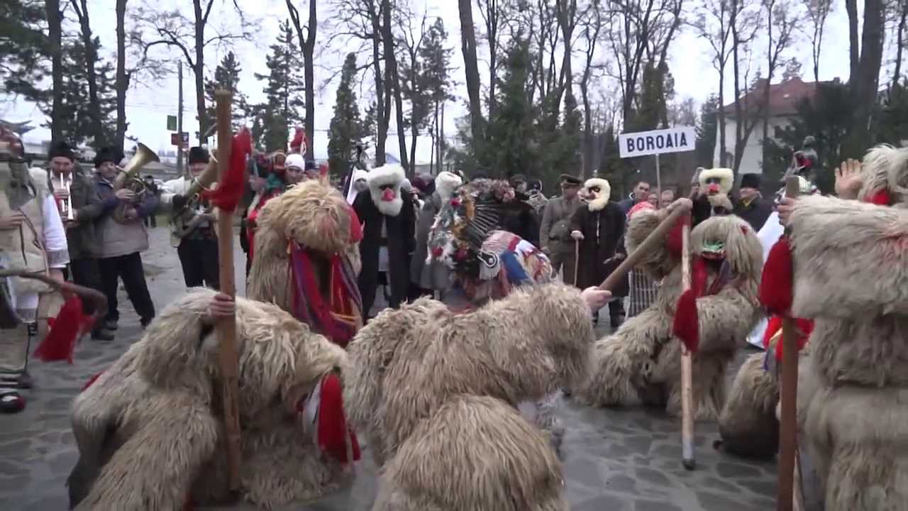 BOROAIA