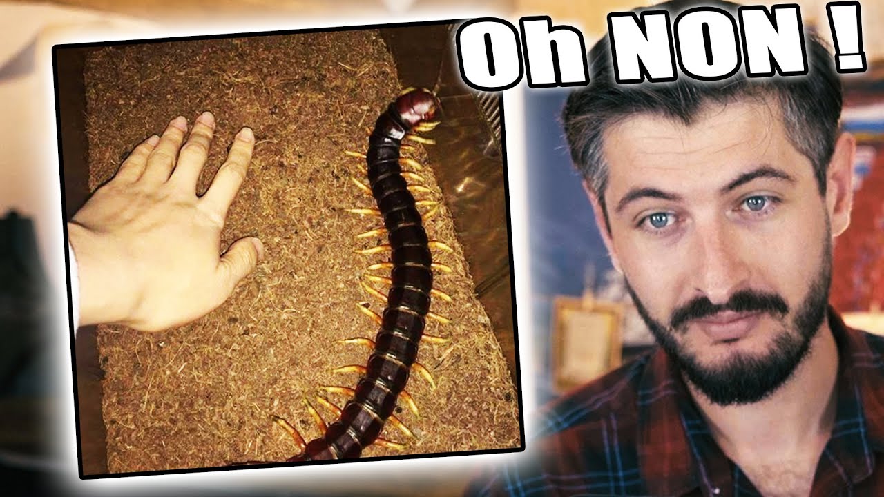 99 choses impressionnantes (mais vraies) #2
