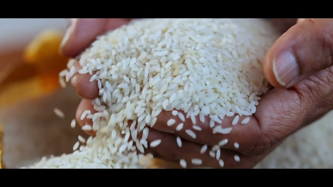 Pattabhi Agro Foods Private Limited Corporate Film - New