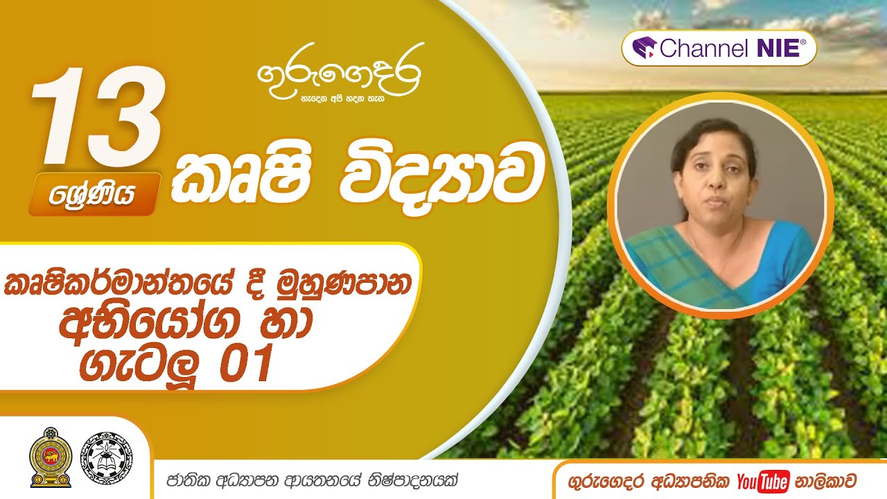 කෘෂිකර්මාන්තයේ දී මුහුණපාන අභියෝග හා ගැටලූ  01 - Lesson 11 -A/L Agriculture  (කෘෂි විද්‍යාව)