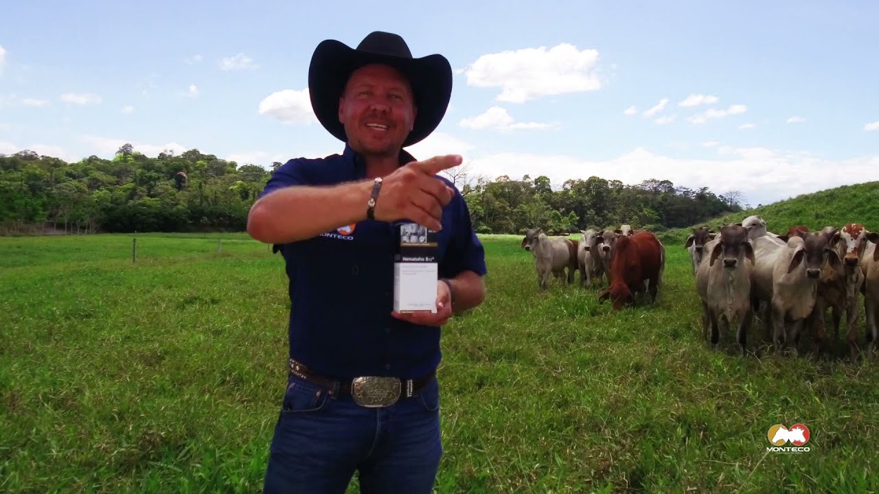 Desde la finca con Michael Bleak recomienda Hematofos B12 para tu ganado
