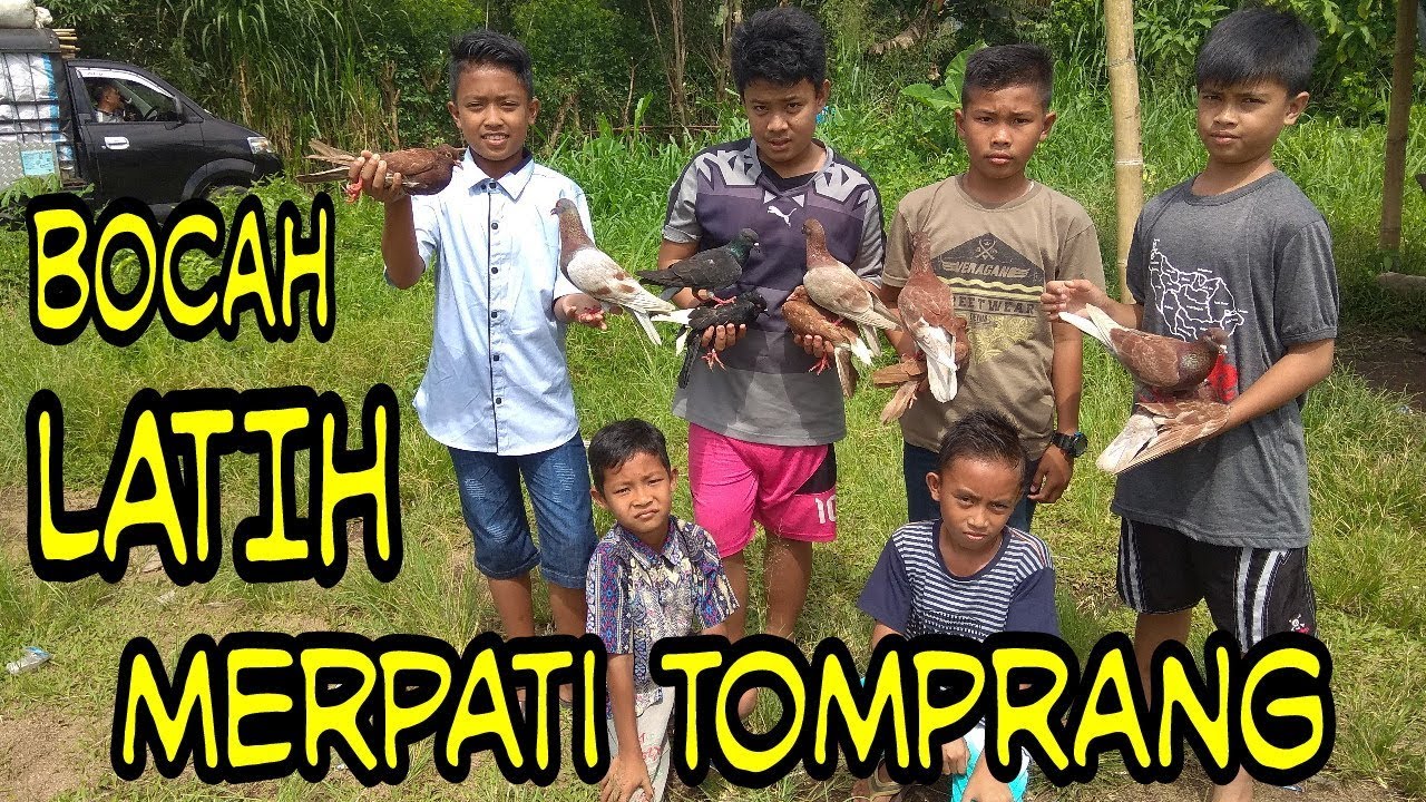 VLOG ANAK KECIL LATIH MERPATI TOMPRANG