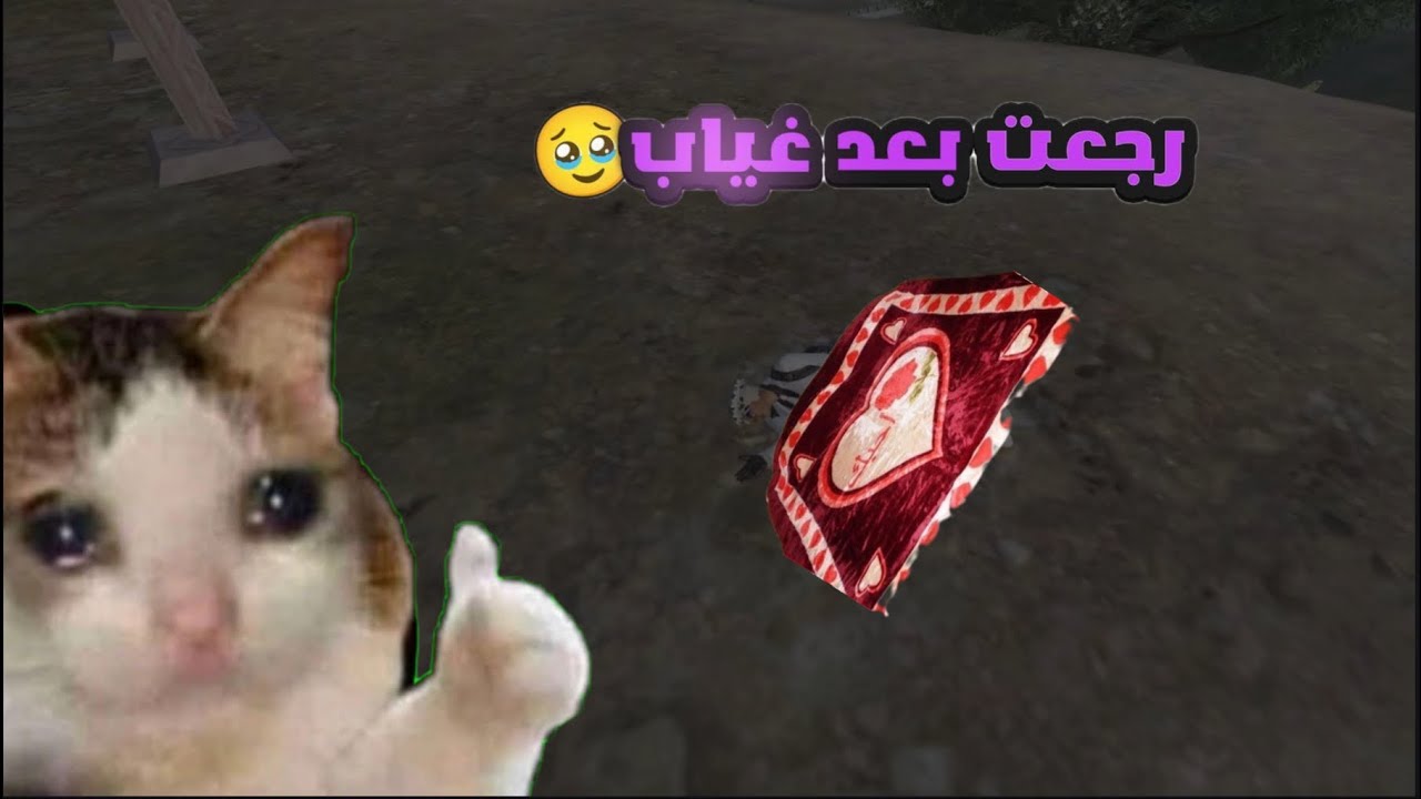 تحشيش ببجي / رجعنا نلعب وانجلدنا جلد😂😂