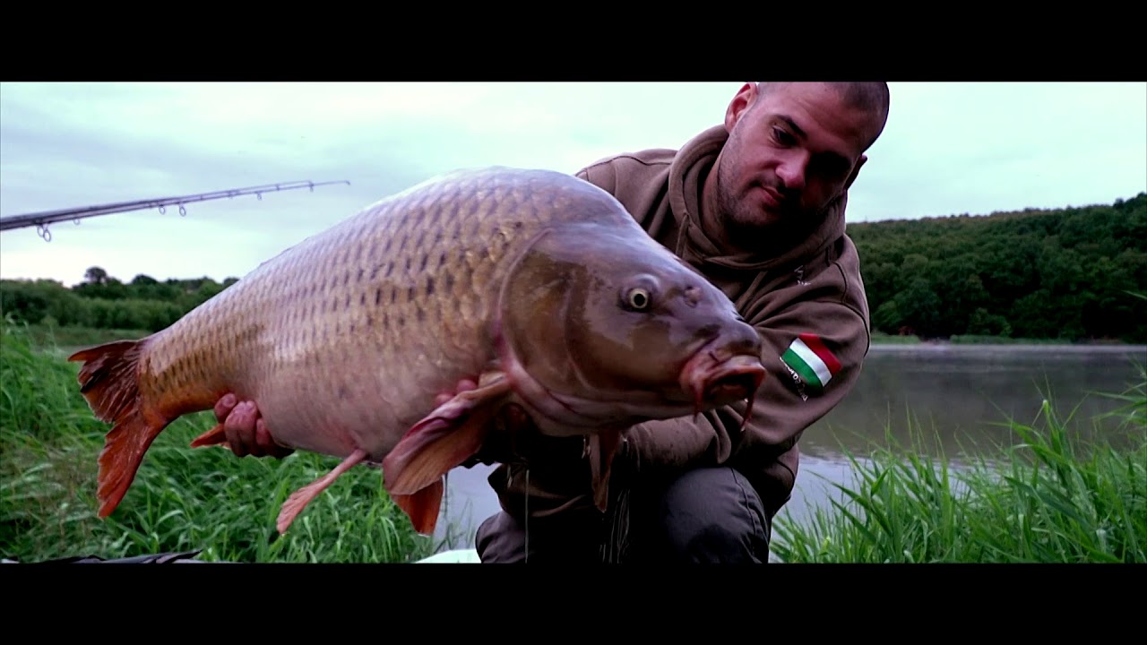 A távolság varázsában - Gyors pontyhorgászati technikák - Rapid Carp Fishing 3.
