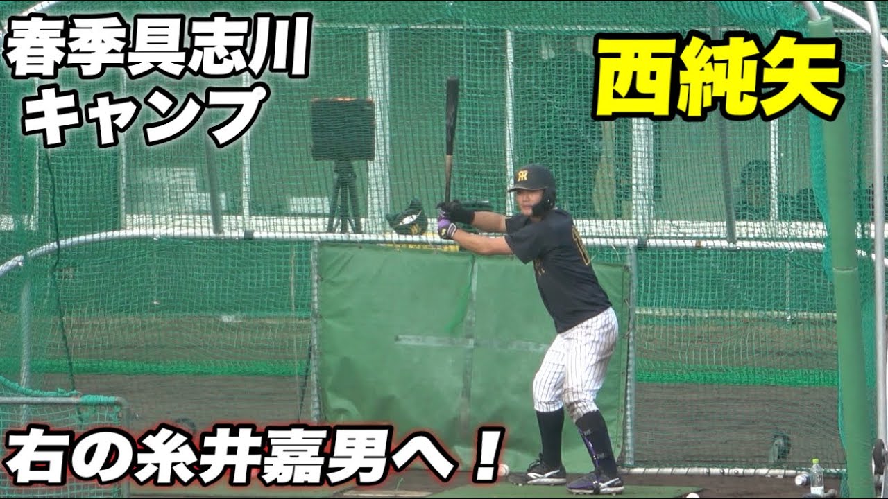 【構えは梅ちゃんガタイは大田泰示！？野手転向になった西純矢の2軍キャンプのバッティング練習！】