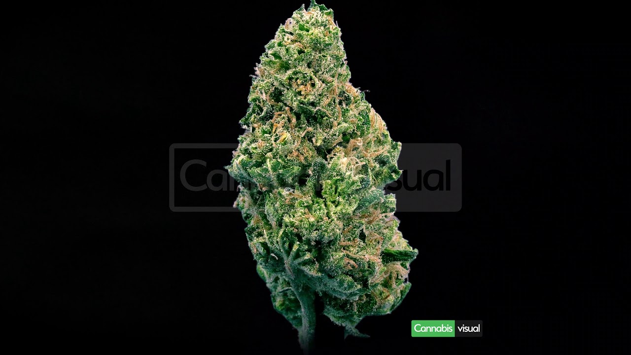 Strawberry banana kush