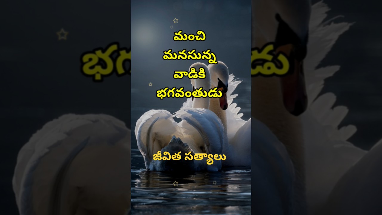 Manchi matalu 