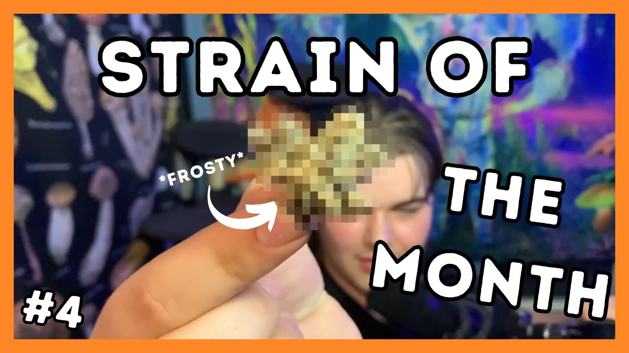 STRAIN OF THE MONTH #4 | HEAVY HITTERS