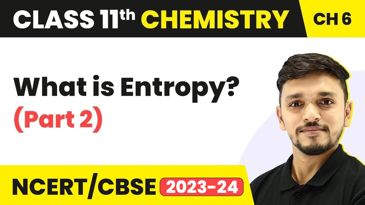 Class 11 Chemistry Chapter 6 | Entropy (Part 2) Entropy During Different Processes