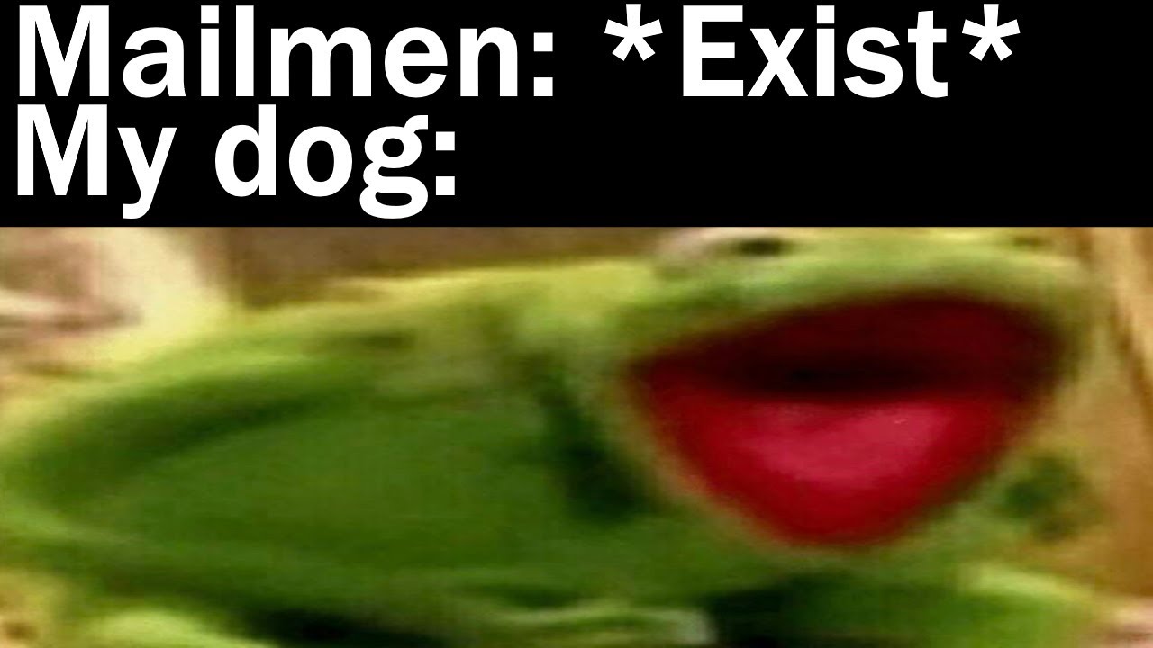 Memes My Dog Ate || Nightly Juicy Memes #157