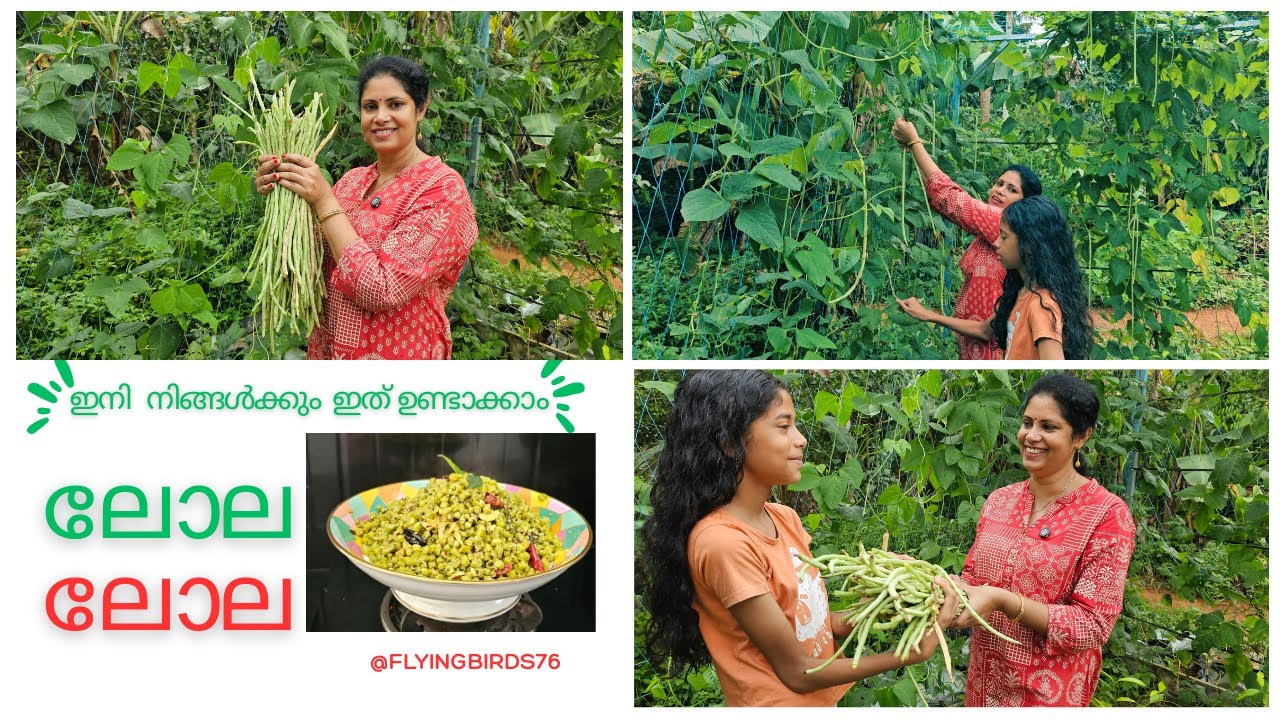 permanent pandal for climbing vegetables