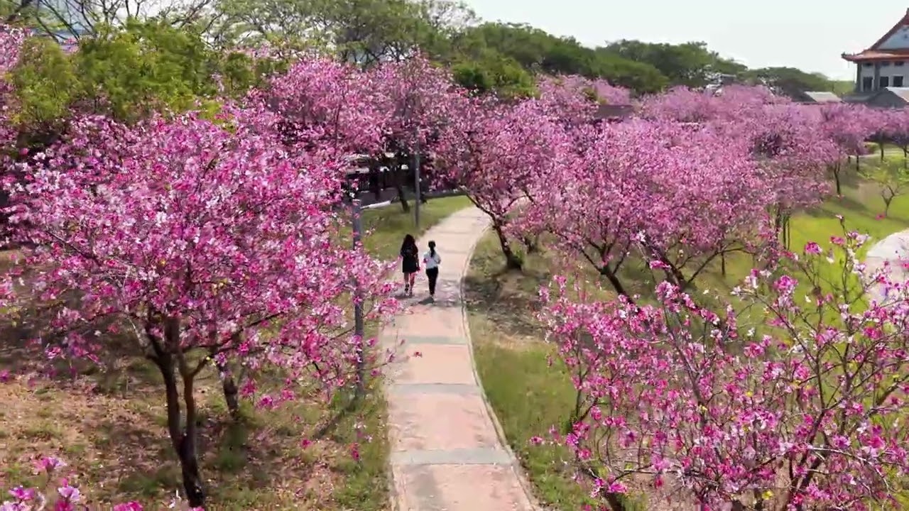 20260308 大台南半日遊