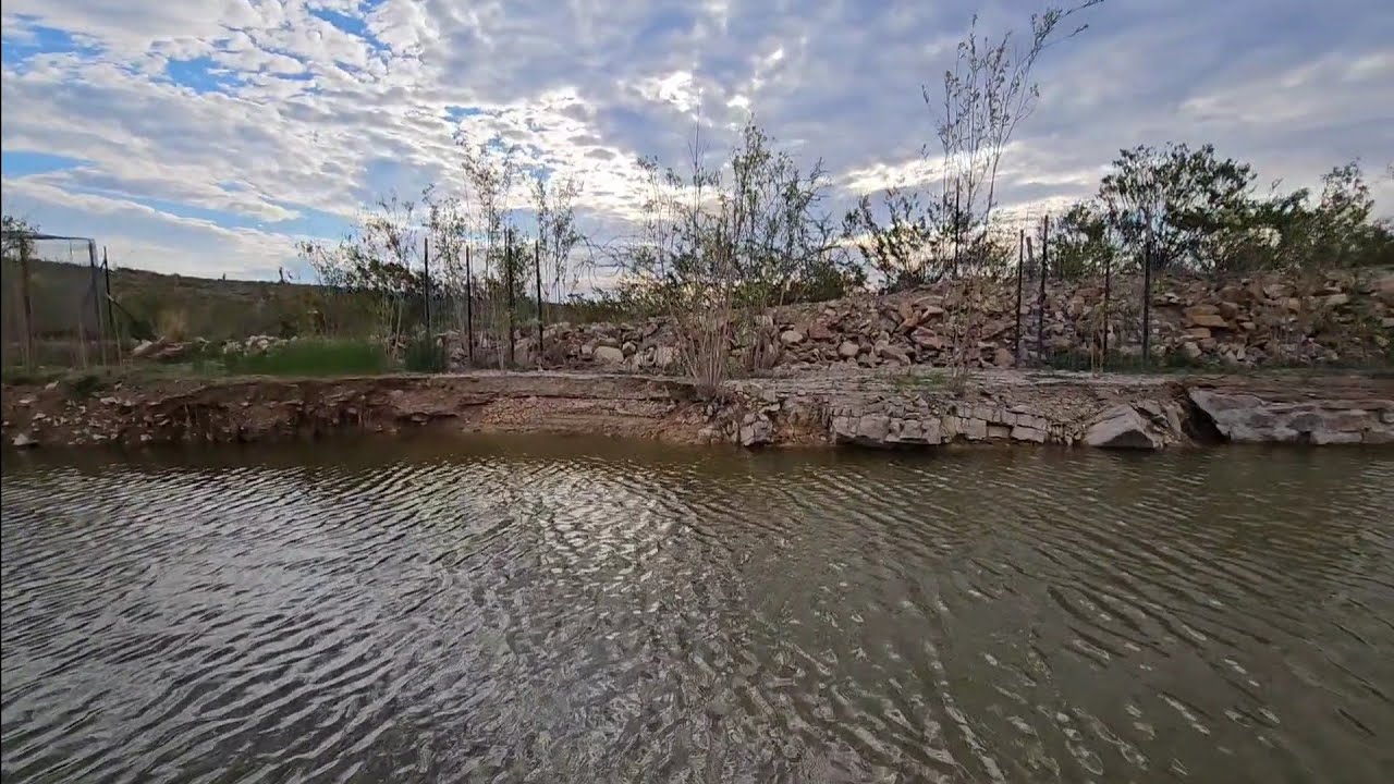 Одна из подпорных стен обрушилась в пруд. Что случилось и как я планирую это исправить @TimelineR...