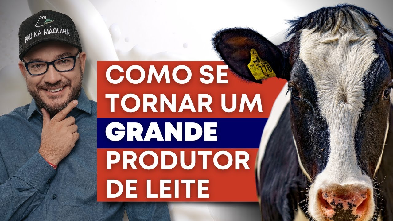 O SEGREDO para se tornar um grande produtor de leite.