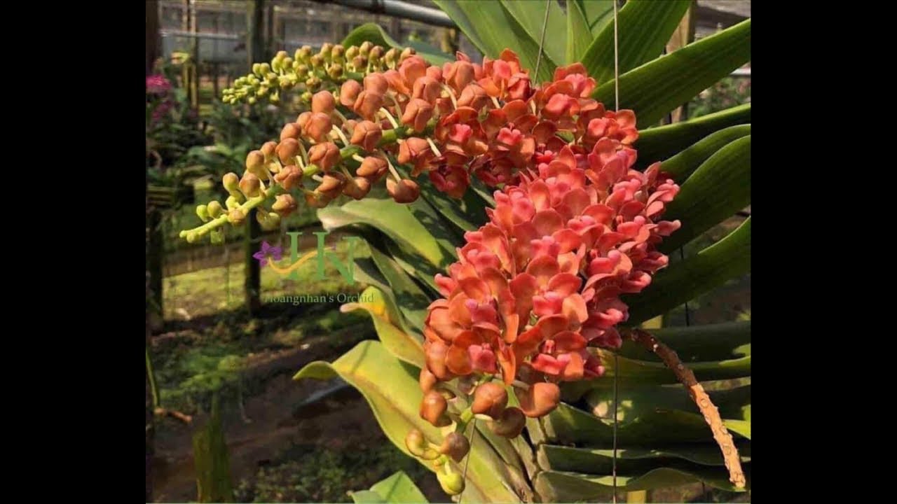 Thanh lý rẻ đẹp 0374035768