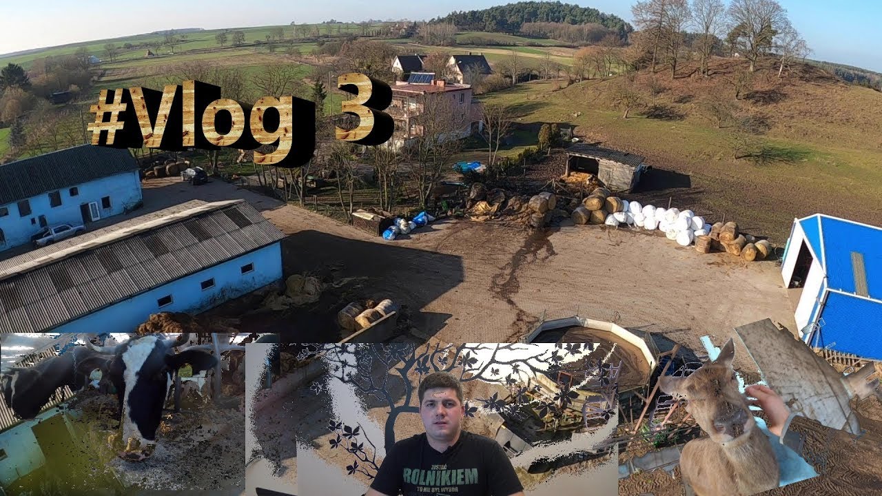 #Vlog 3 Codzienne obowiązki #Rolnicy