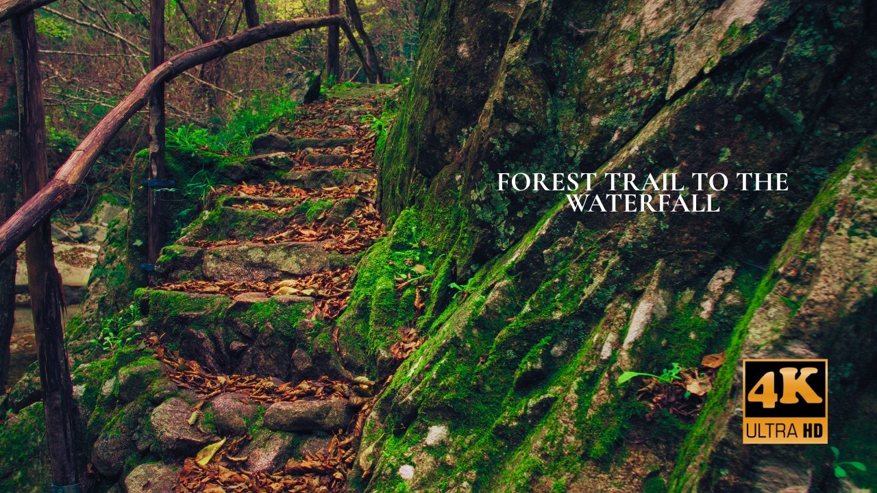 4K🌲 Hiking to Marmarico Falls | Tallest Waterfall in Southern Italy | Deep Forest Soundscape 28 MIN