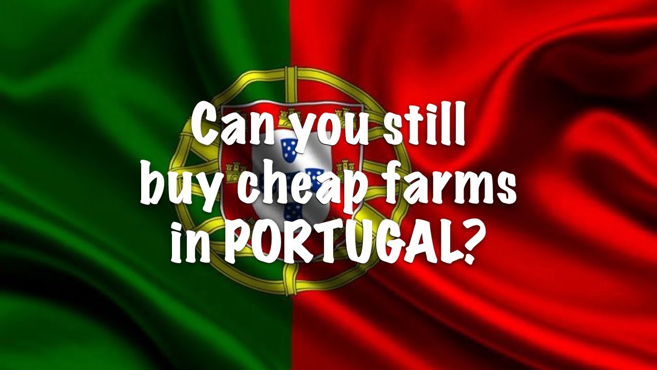 Moving to Portugal: Part 14 (Can you still find a cheap farm?)