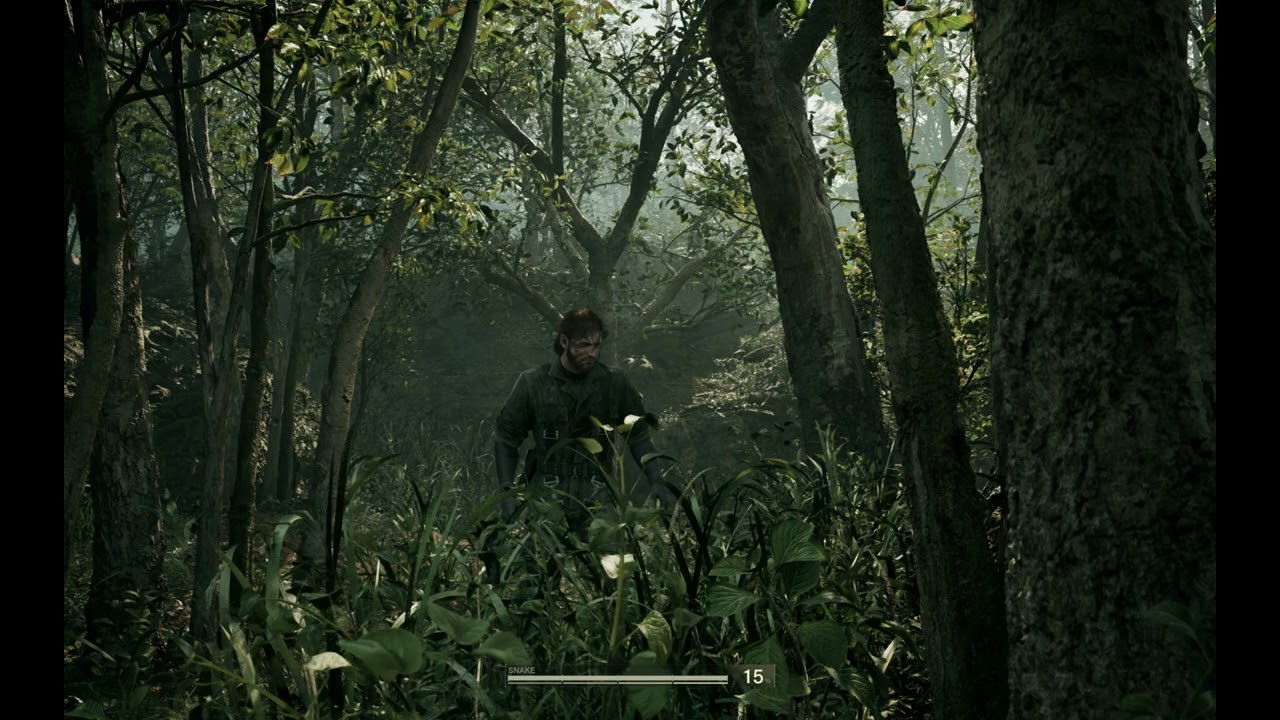 Stealth Music - Jungle (Hour Loop)