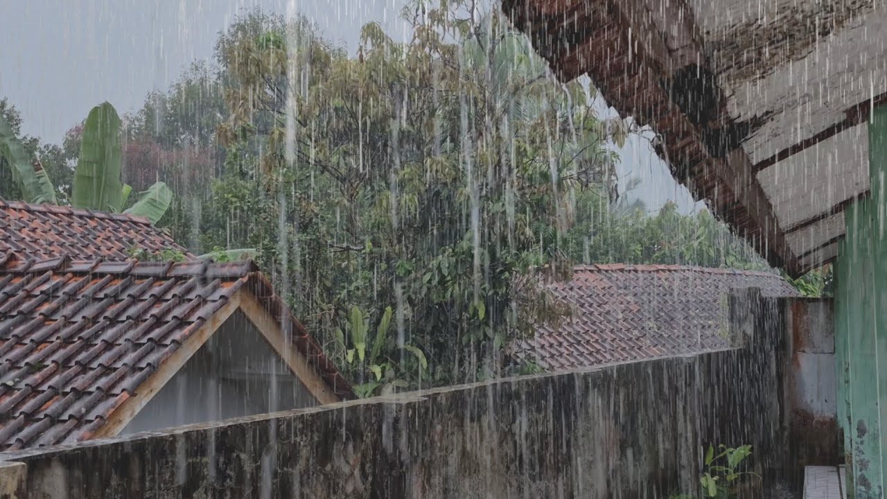 Real Rain Sounds in Indonesian Village 🌧️ Natural Countryside Ambience