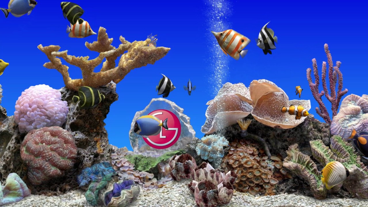 Aquarium Relax (LG Smart TV)
