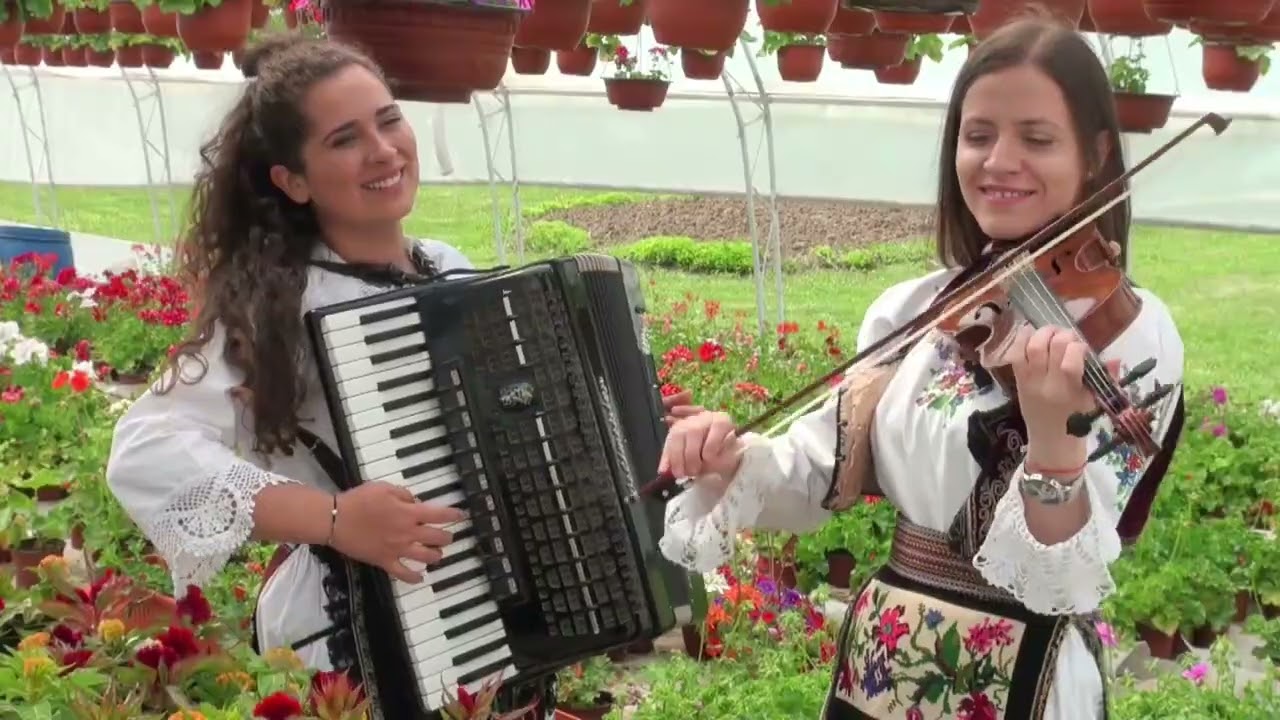 @RadiobiserAtMerak kolo - Vitomir Stanojević #frula #harmonika #violina #folklor #flaut #vioară #sax