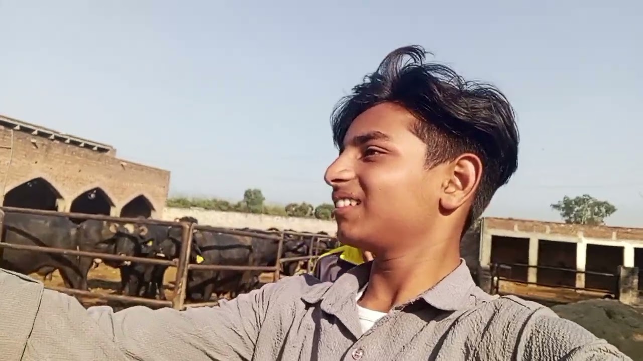 USA import kiye Gaye horse