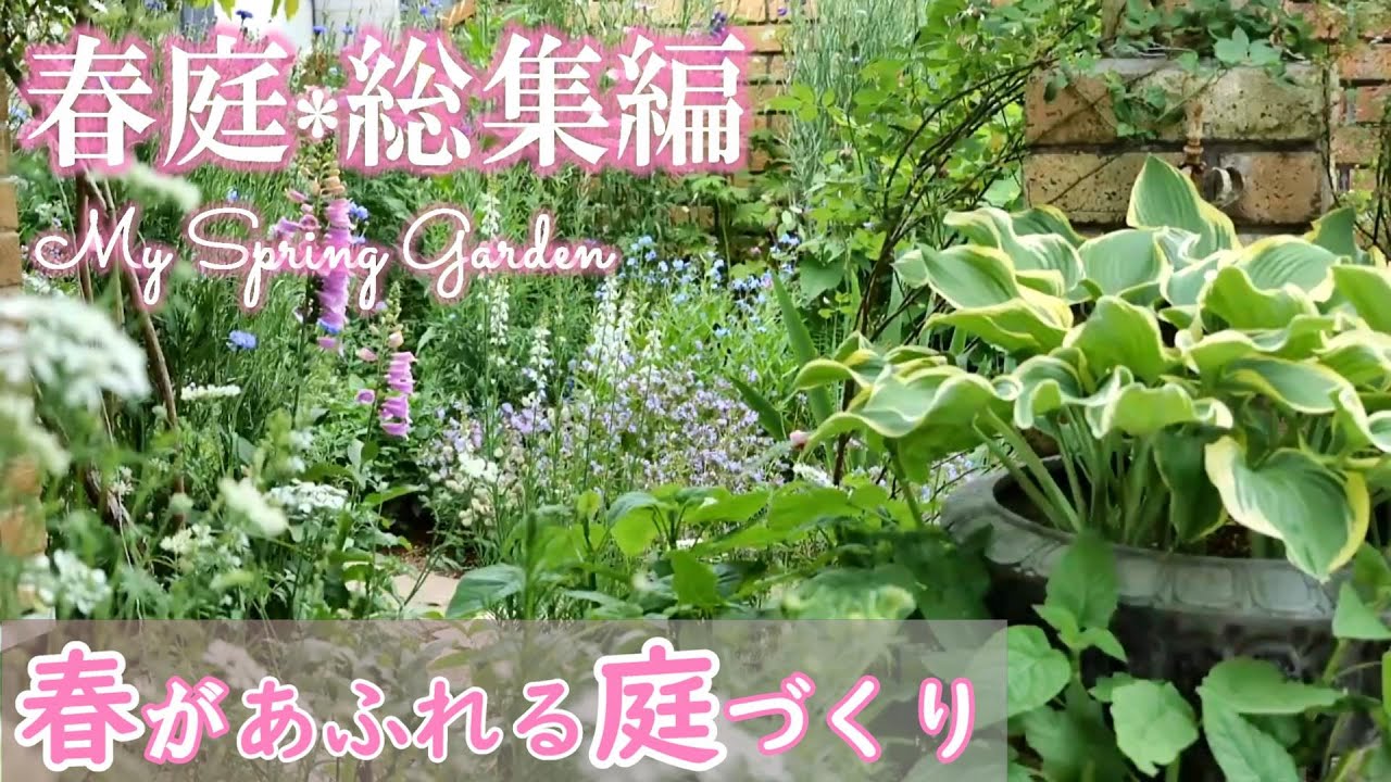 【４年の軌跡】春があふれる庭づくりを目指して｜ナチュラルガーデン｜春庭から学んだこと｜ガーデニング