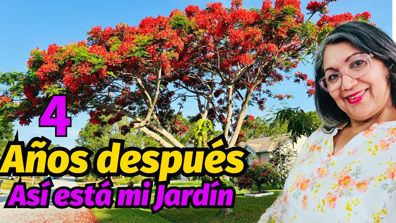 #Vlog ✔️Mi JARDIN después de 4 años, ,ordenando mi CASA ,recibiendo visita ,RESULTADOS maravillosos