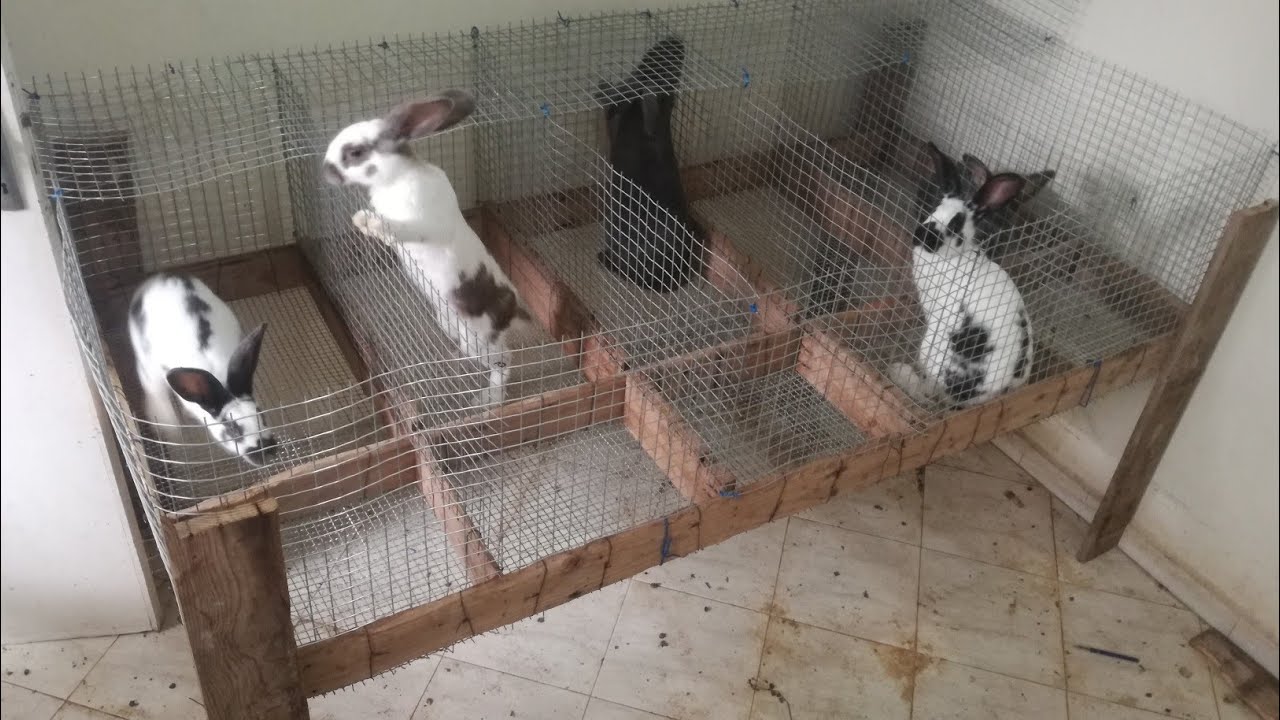 أسهل طريقة لصناعة قفص أرانب للأمهات The easiest way to make a rabbit cage
