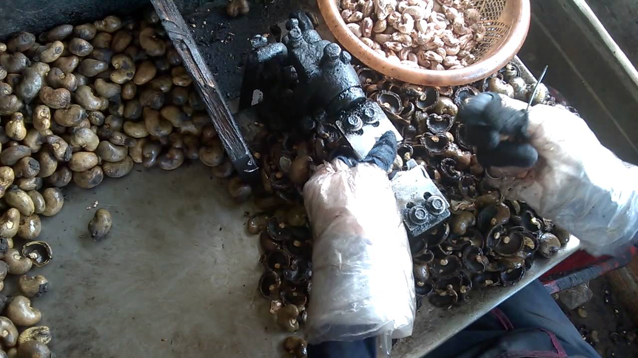 Manual Cashew Nut Shell Tool