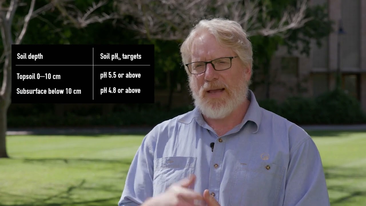 Soil acidity: the essentials