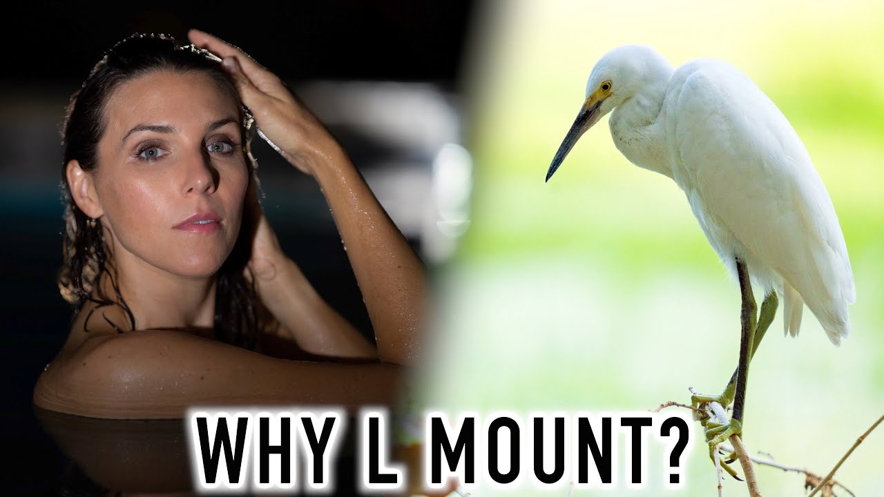 Я рекомендую байонет L. Вот почему. На фото: объектив Sigma 14mm f/1.4 DG DN Art.