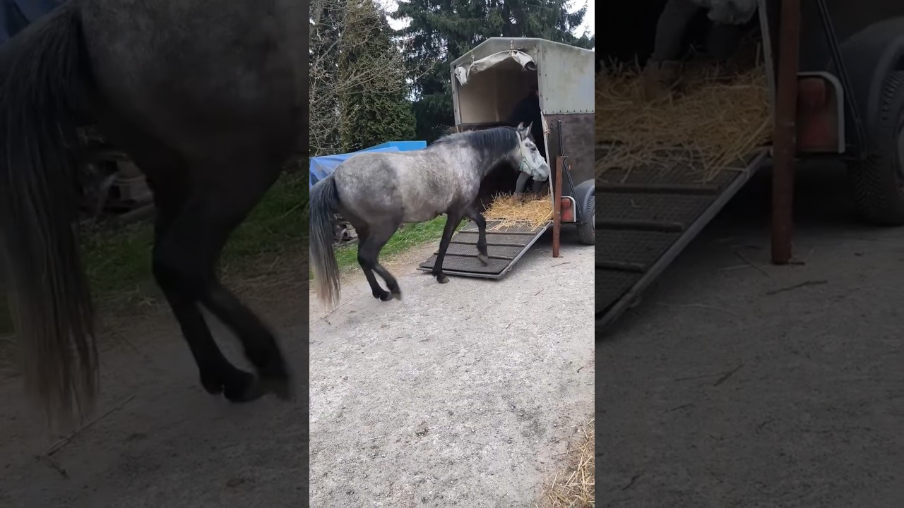 Was macht der H&auml;nger da?