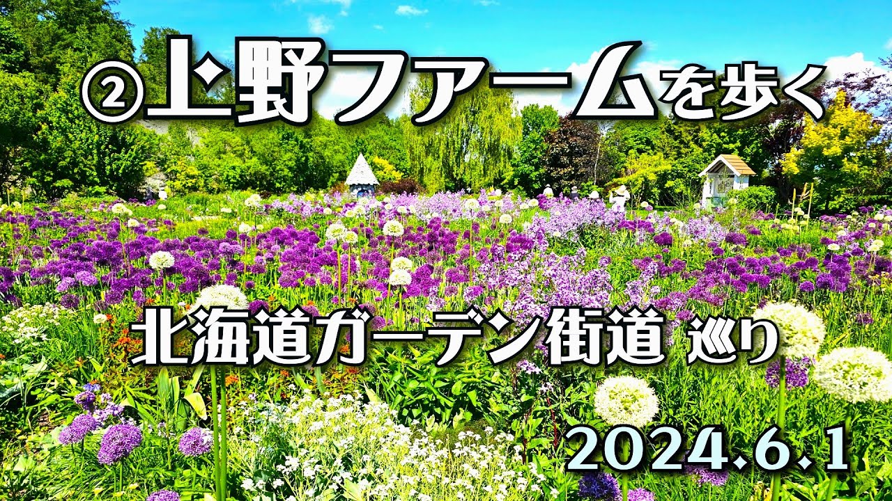 【北海道ガーデン街道】②上野ファームを歩く　2024年6月1日