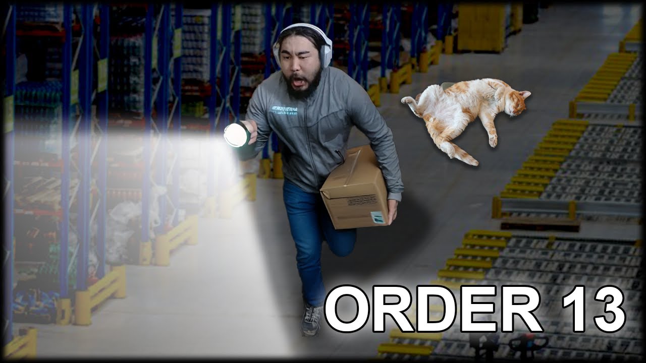 Order 13 Аминаас илүү муур минь