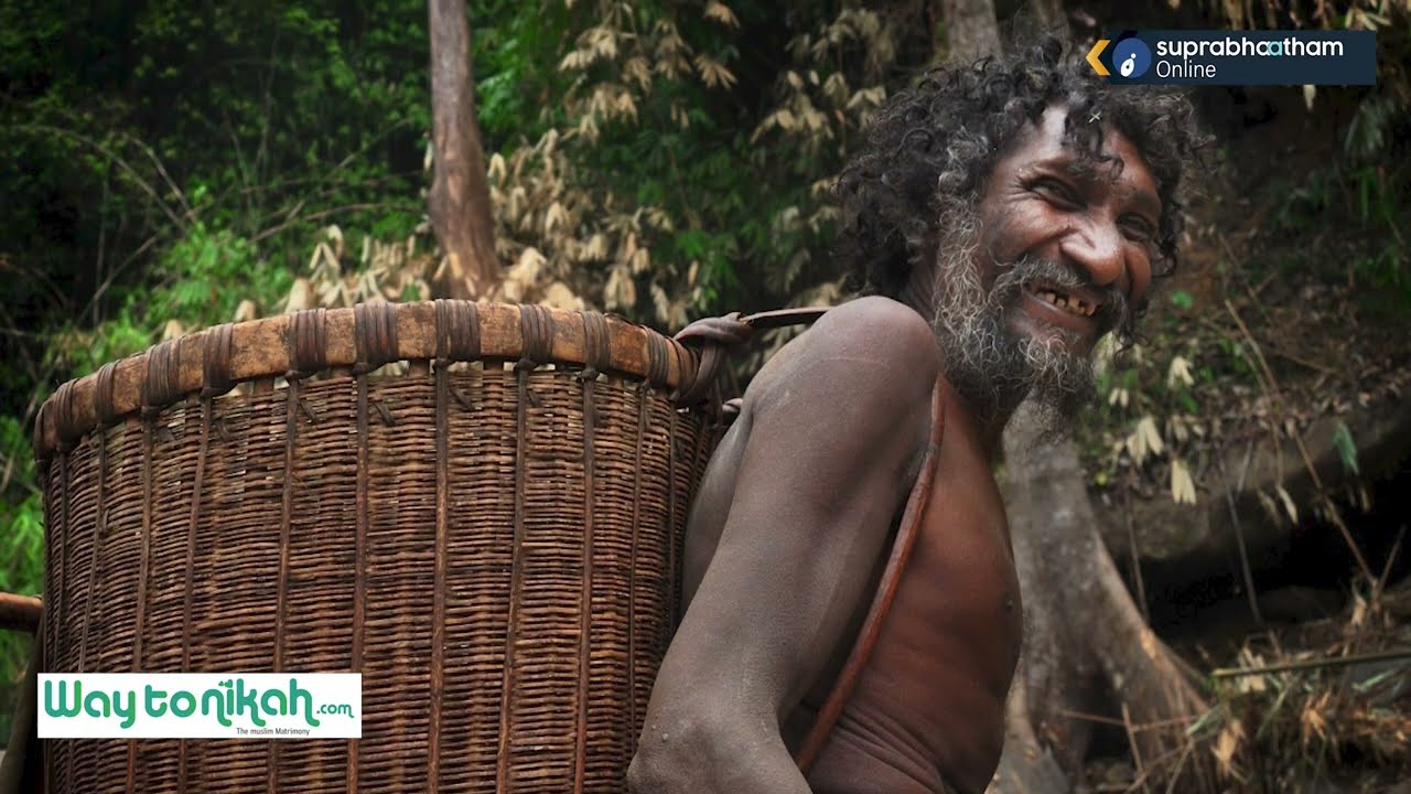 ചോലനായ്ക്ക തലവനെ കാട്ടാനകൂട്ടം ചവിട്ടിക്കൊന്നു കൊല്ലപ്പെട്ടത് ഗോത്രത്തലവൻ മാത  @cholanaykkar @tribel