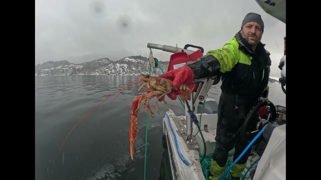 Snø i båten og is på sjøen – Trekker krepseteiner 15.02.26 Farsund