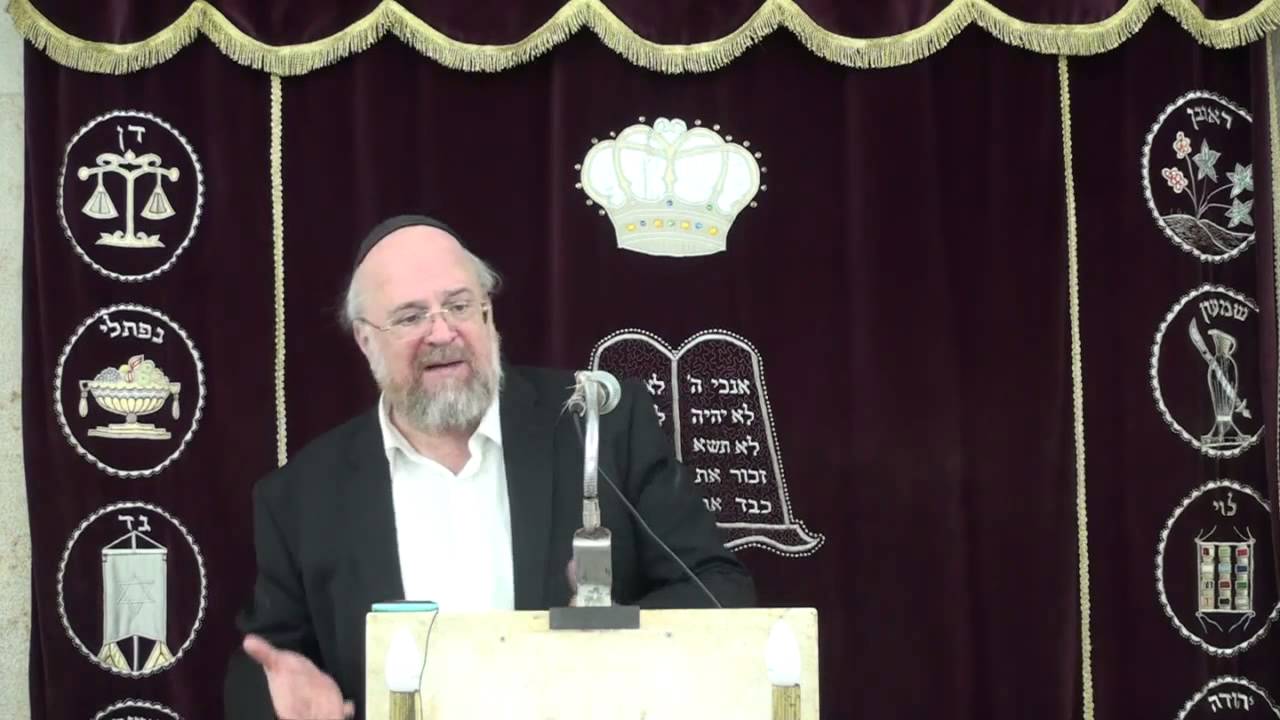 הרב ברוך רוזנבלום פרשת במדבר 9 תשע״ה Rabbi Baruch Rosenblum